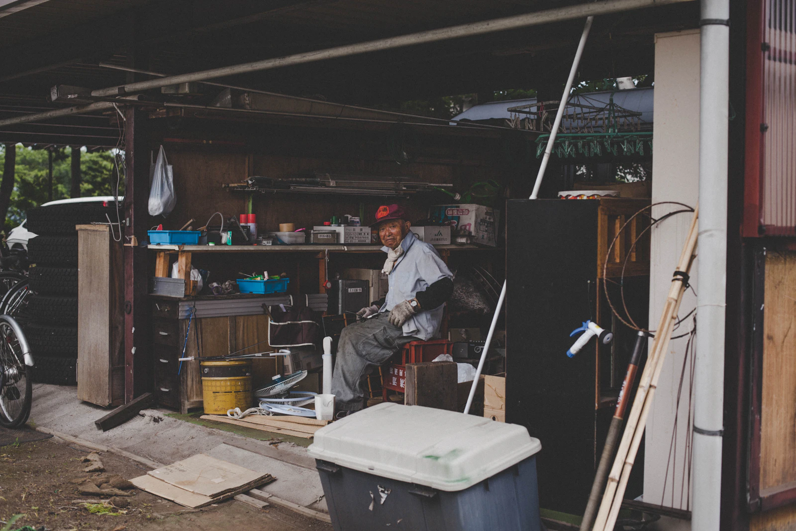 Organised kitchen shelves